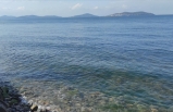 Marmara Denizi'nde Yeni Tehlike 'Oksijen Azlığı'