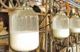 Üretici Tarih Verdi: Vatandaş Et ve Süt Bulmakta Zorlanacak