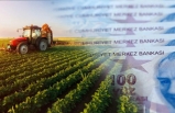 Uzmanlardan 'tarım çöküyor' uyarısı: Borç 700 milyar