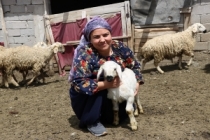 Üniversite mezunu kadın koyun çiftliği kurdu