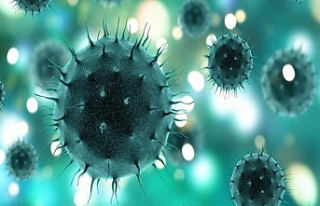 Koronavirüs Nedir, Nasıl Bulaşır, Belirtileri...