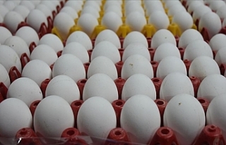 İran Üzerinden İhracat Yapamayan Yumurta Üreticileri,...