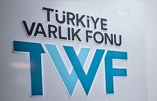 Kamu Sigorta Şirketleri TVF Çatısı Altında Birleşti