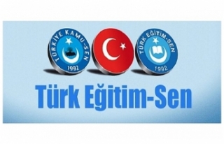 Türk Eğitim-Sen'den 29. Kuruluş Kutlaması