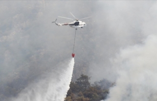 47 İlde 209 Orman Yangını Kontrol Altına Alındı