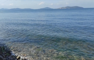 Marmara Denizi'nde Yeni Tehlike 'Oksijen...