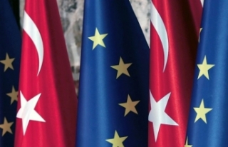 AP Raportörü Amor: Türkiye'de Denge ve Denetleme...