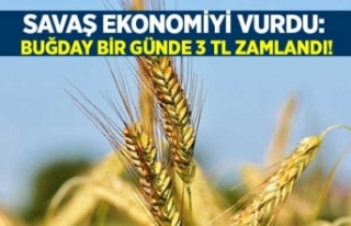 Savaş ekonomiyi vurdu: Buğday bir günde 3 TL zamlandı!