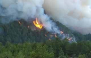 Kütahya’da orman yangını! Geniş bir alana yayıldı