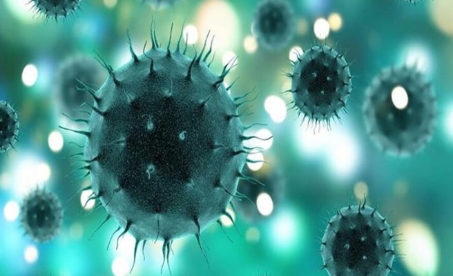Koronavirüs Nedir, Nasıl Bulaşır, Belirtileri Neler?