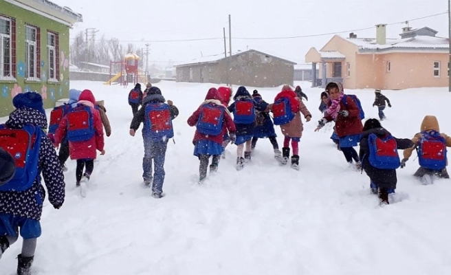 Erzincan, Giresun ve Van'da eğitime kar tatili
