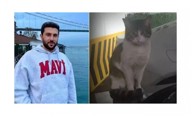 Kedi Eros'un katili İbrahim Keloğlan'ın cezası belli oldu
